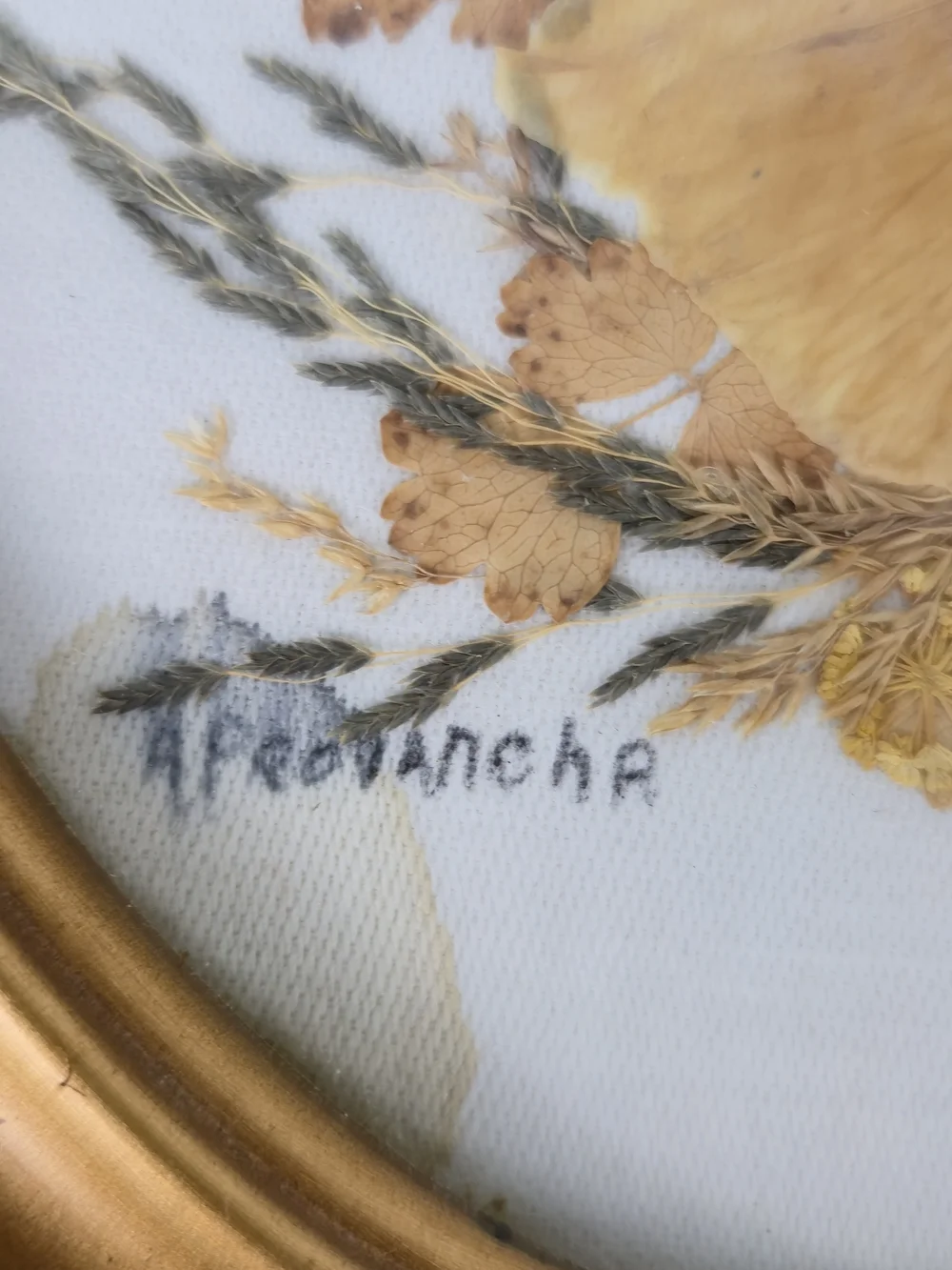 Vintage Oval Gold Framed Pressed Flower Art - Signed A. Provancha